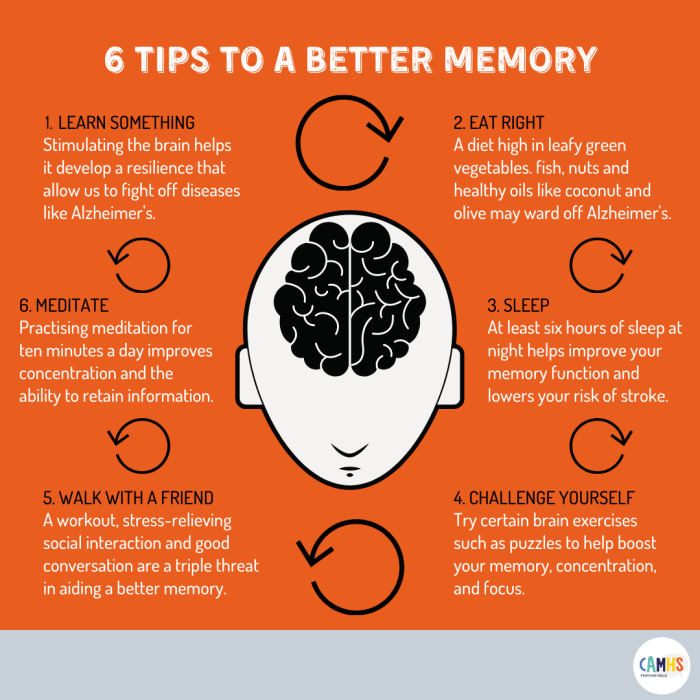 7 Ways to Improve Your Memory