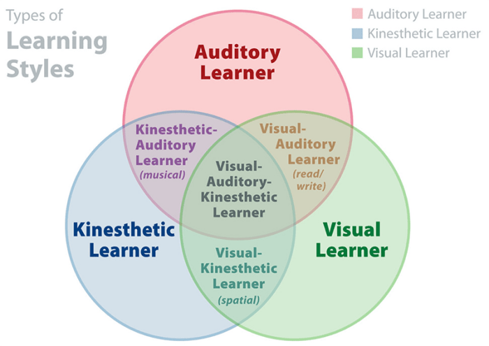 Strategies students visual auditory learners tactile exam